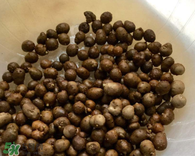 山藥豆能生吃嗎？山藥豆能帶皮吃嗎？