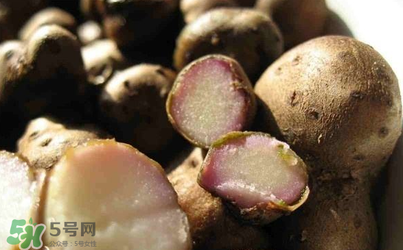 山藥豆能泡酒嗎？山藥豆能打豆?jié){嗎？