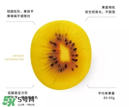 黃心獼猴桃叫什么名字？黃心獼猴桃是什么品種