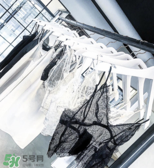 anine bing是什么牌子？anine bing是什么檔次？