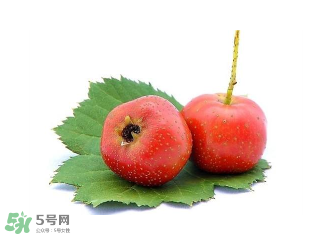 山楂和菊花能一起泡水喝嗎？