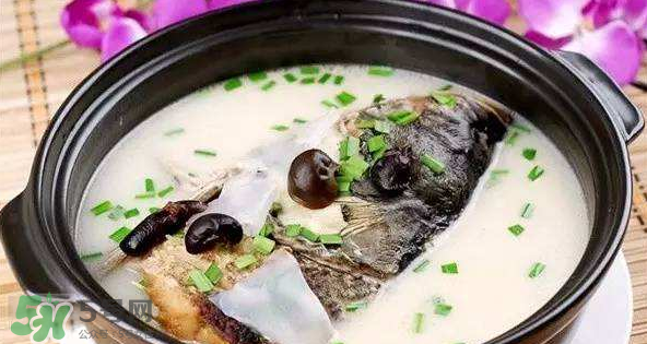 怎樣吃魚最有營養(yǎng)？喝魚湯會(huì)致高脂血癥嗎？