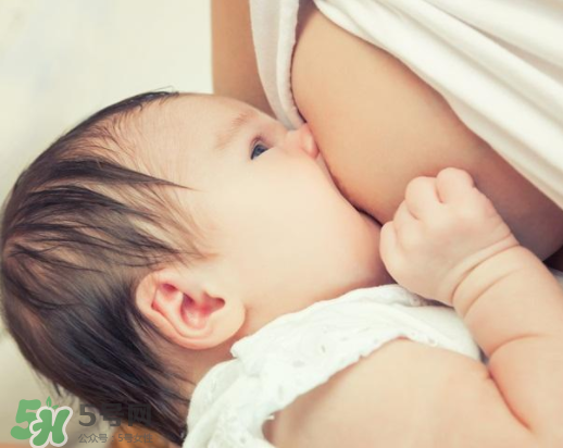 母乳寶寶一天大便幾次正常？母乳寶寶排便情況介紹