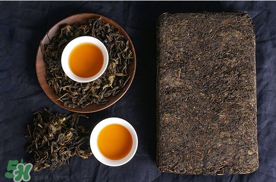 茯茶是熱性還是涼性？茯茶是不是放越久越好？