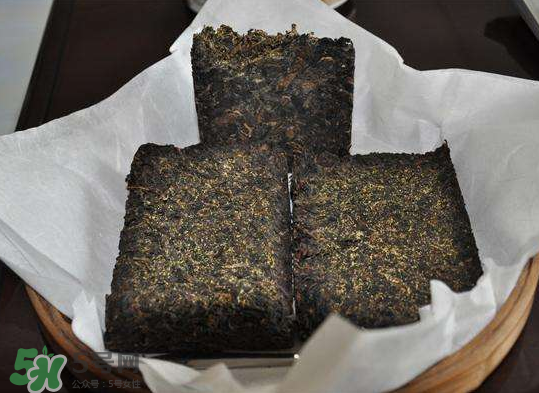 茯茶是熱性還是涼性？茯茶是不是放越久越好？