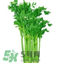 醋泡洋蔥能降血壓嗎？哪些食物可以降血壓？