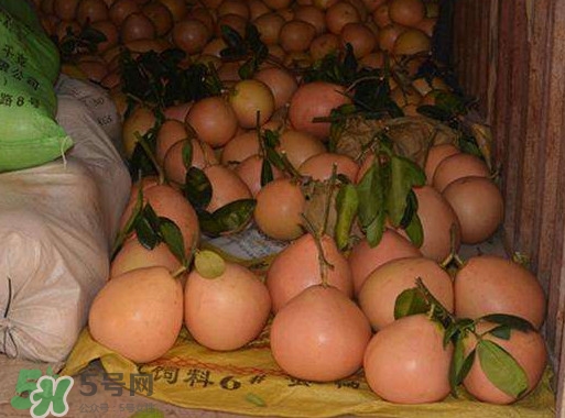 三紅蜜柚什么時(shí)候種植？三紅蜜柚什么時(shí)候成熟