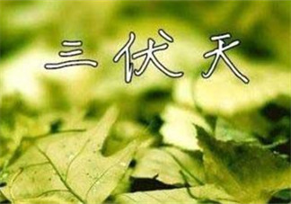 為什么三伏天最熱？如何過好三伏天？