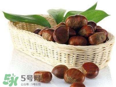 板栗酒能治療腎陽虛嗎？板栗泡酒真的能壯陽嗎？