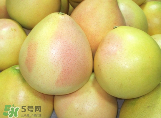 三紅蜜柚什么時(shí)候種植？三紅蜜柚什么時(shí)候成熟