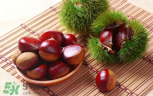 板栗酒能治療腎陽虛嗎？板栗泡酒真的能壯陽嗎？