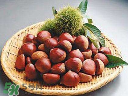 板栗酒能治療腎陽虛嗎？板栗泡酒真的能壯陽嗎？