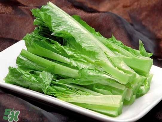萵苣葉能吃嗎？萵苣葉和油麥菜有什么區(qū)別