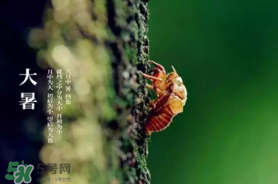 三伏天怎樣飲食？三伏天不宜做哪些事？
