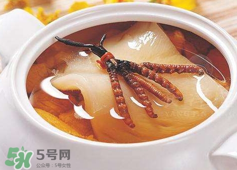 花膠能天天吃嗎？花膠一天吃多少克？