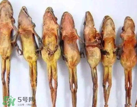 雪蛤干多少錢一斤？雪蛤干怎么吃？