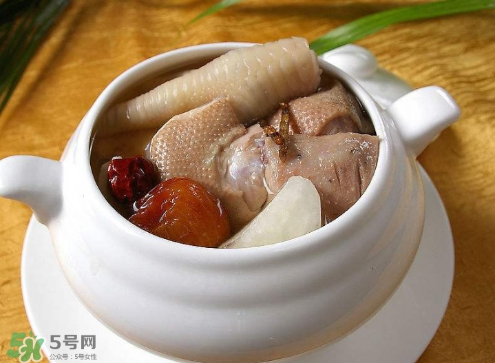 花膠可以放多久？花膠可以放冰箱嗎？