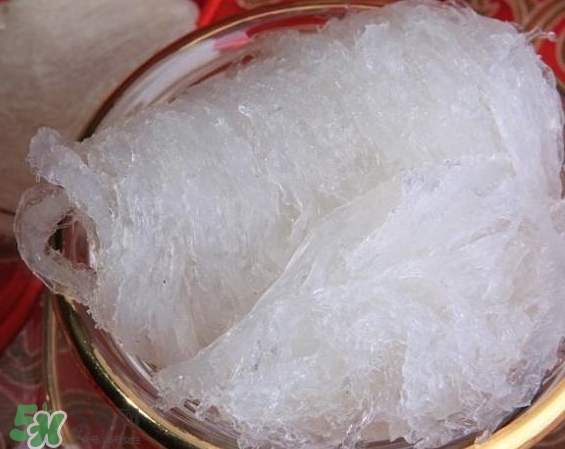 發(fā)好的燕窩怎么保存？發(fā)好的燕窩可以冷凍嗎？