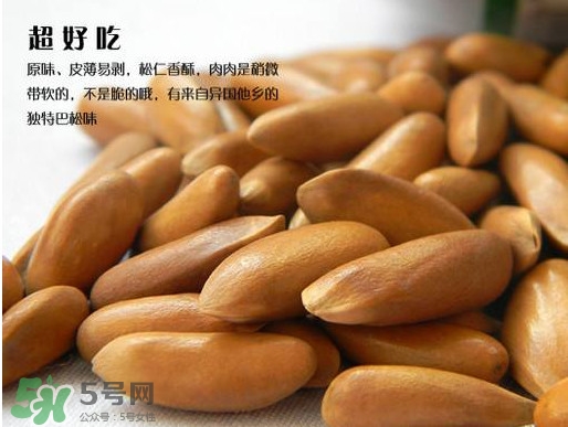 松籽可以生吃嗎？松籽怎么儲(chǔ)藏保存
