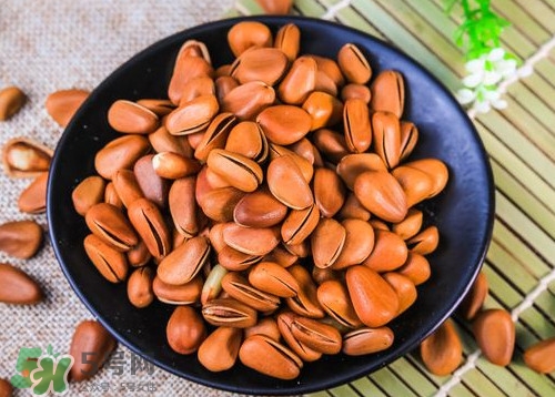 松籽什么季節(jié)采摘？吃松籽有什么好處？