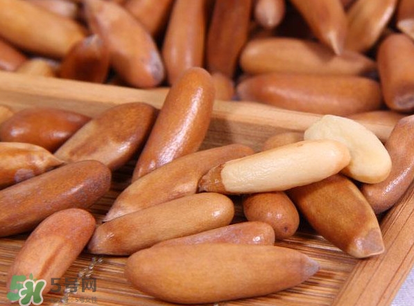 松子是松樹的果實(shí)嗎？松子是酸性還是堿性