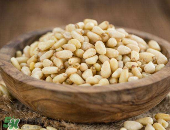 松籽是什么樹結(jié)的？松子還是松籽？