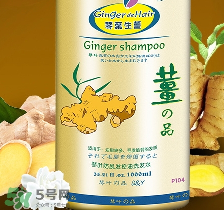 琴葉洗發(fā)水是哪國的？琴葉洗發(fā)水是幾線品牌