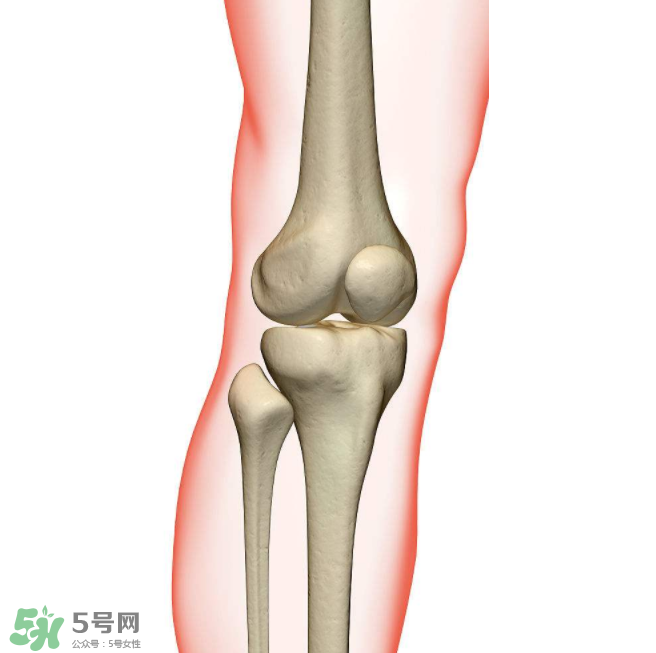 風(fēng)濕不治療可以治愈嗎？早期風(fēng)濕能自愈嗎？