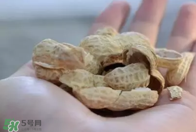 花生發(fā)芽后營(yíng)養(yǎng)如何？花生殼煮水喝有什么用？