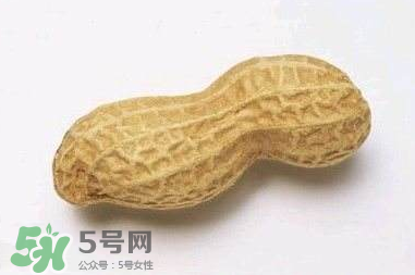 花生有哪些種類型？花生怎么栽培管理？