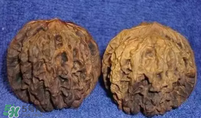 核桃上的陰皮是什么？核桃對血管的作用
