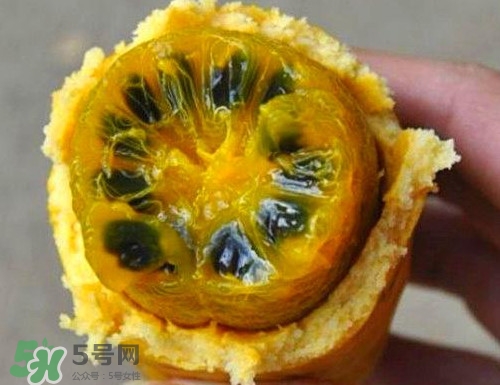 八月炸適合哪里種植？八月炸作用和功效是什么