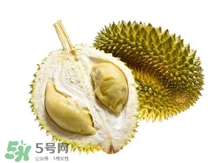 榴蓮籽能種嗎？榴蓮籽怎么種小盆栽？