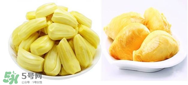榴蓮和菠蘿蜜一樣嗎？榴蓮和菠蘿蜜哪個(gè)營養(yǎng)好？