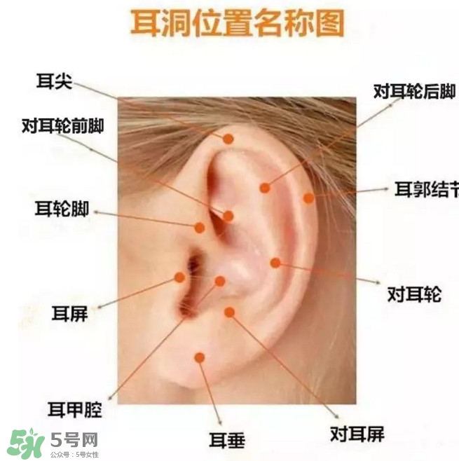 打耳洞多少錢(qián)一對(duì)？打耳洞相當(dāng)于什么疼