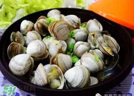 蛤蜊蒸蛋孕婦能吃嗎？蛤蜊蒸蛋寶寶能吃嗎