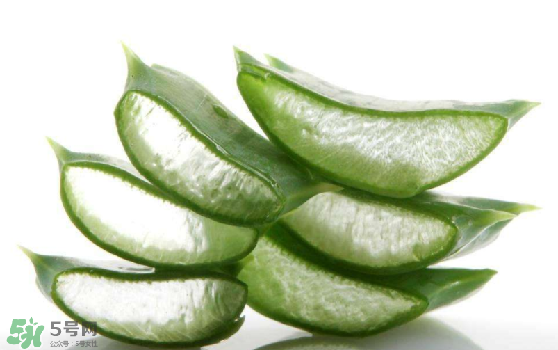 敏感肌能使用蘆薈護(hù)膚嗎？蘆薈膠有什么用？