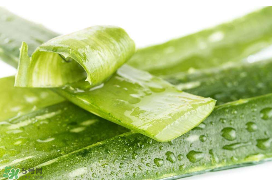 敏感肌能使用蘆薈護(hù)膚嗎？蘆薈膠有什么用？