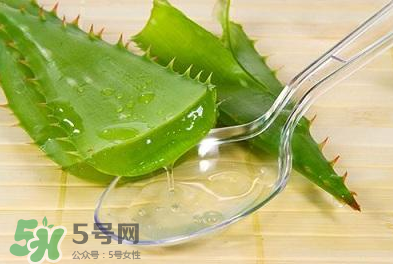 新鮮的蘆薈怎么吃？蘆薈的多種吃法