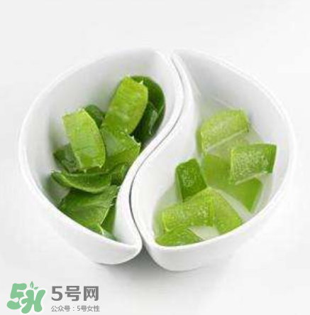 新鮮的蘆薈怎么吃？蘆薈的多種吃法