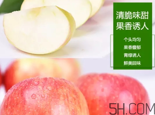 美八蘋(píng)果價(jià)格多少錢(qián)？美八蘋(píng)果多少錢(qián)一斤？