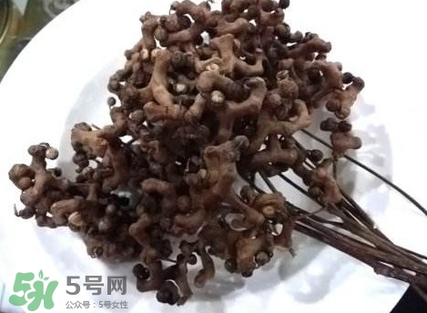 拐棗可以嫁接嗎？拐棗是哪里的特產(chǎn)