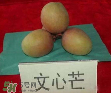 芒果有哪些品種？哪種芒果最好吃？