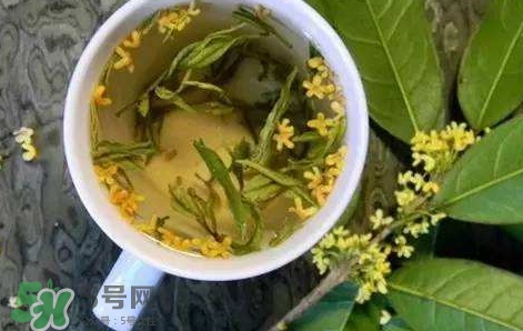 桂花茶怎么泡好喝？桂花茶怎么制作？