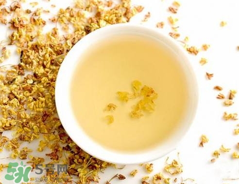 桂花茶怎么泡好喝？桂花茶怎么制作？
