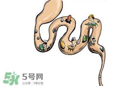 螺旋藻能治胃病嗎？有胃病日常需要注意什么？