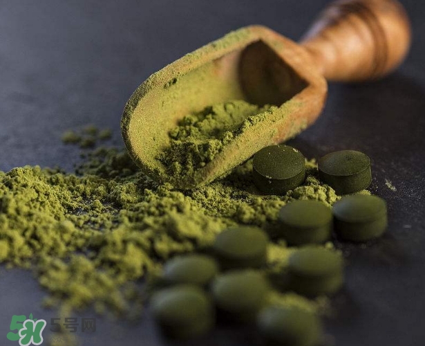 螺旋藻減肥嗎？螺旋藻減肥的正確吃法