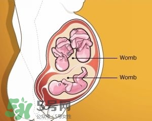 雙子宮是什么意思？雙子宮可以順產嗎？