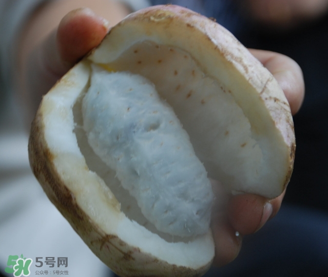 八月瓜可以經(jīng)常吃嗎？八月瓜可以多吃嗎？
