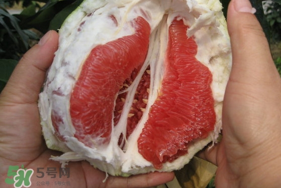紅肉蜜柚可以儲存多久？紅肉蜜柚怎么挑選